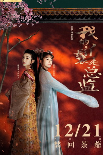 Póster de 我的丫鬟是总监