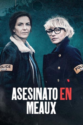 Póster de Meurtres à Meaux