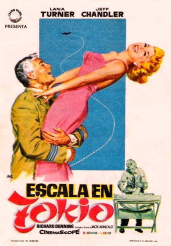 Póster de The Lady Takes a Flyer
