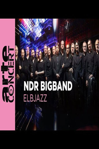 Póster de NDR Bigband feat. Lenine & Martin Fondse: The Bridge Elbjazz Festival 2024