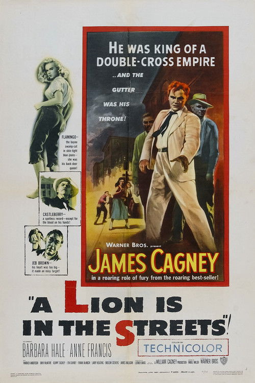 Póster de A Lion Is in the Streets