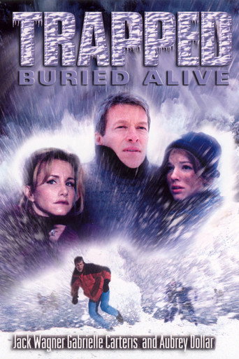 Póster de Trapped: Buried Alive