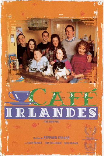 Póster de The Snapper