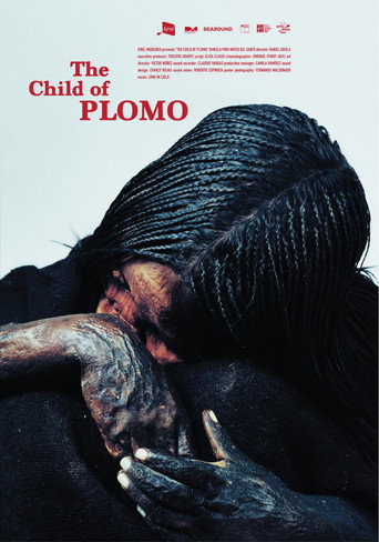 Póster de El niño del Plomo