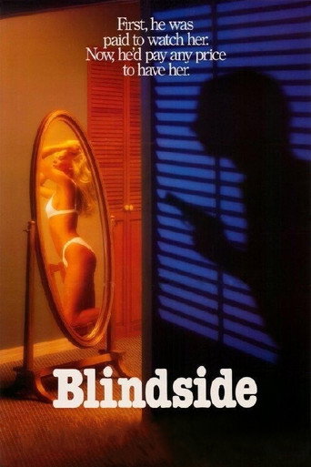 Póster de Blindside