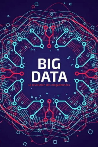 Póster de Big Data - La révolution des mégadonnées