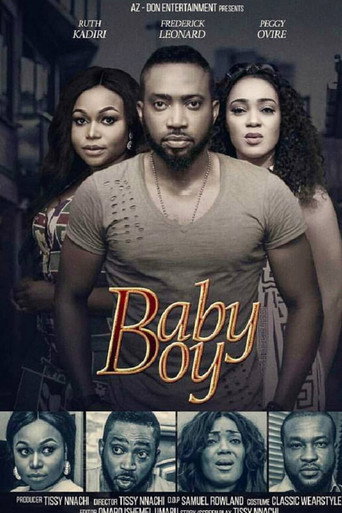 Póster de Baby Boy