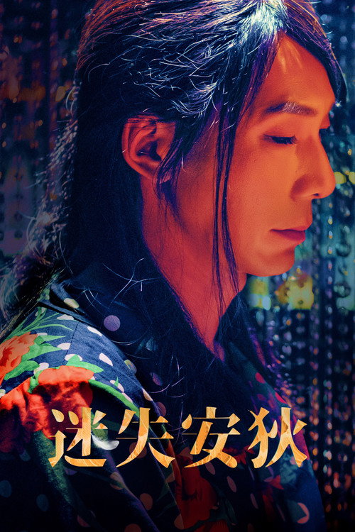 Póster de 迷失安狄