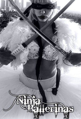 Póster de Ninja Ballerina