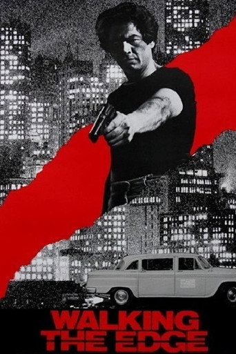 Póster de Walking the Edge