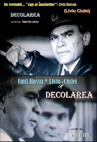 Póster de Decolarea