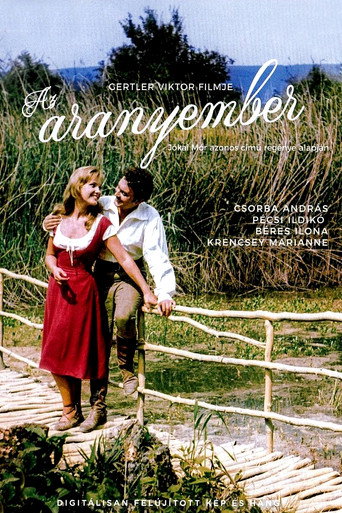 Póster de Az aranyember