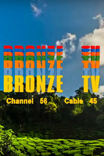 Póster de Bronze 56K - 2020
