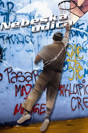 Póster de Небеска удица