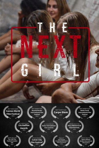 Póster de The Next Girl