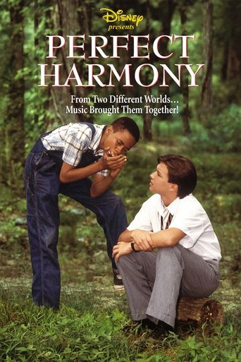 Póster de Perfect Harmony