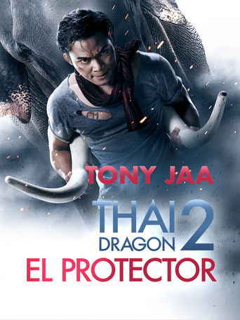 Póster de El Protector 2