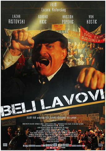Póster de Beli lavovi