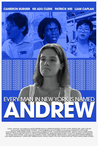 Póster de Every Man in New York Is Named Andrew