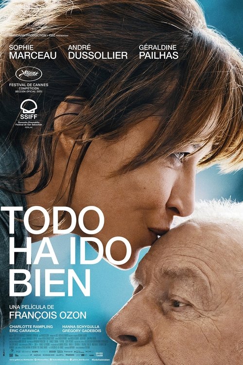 Póster de Todo saldrá bien (Everything Went Fine)