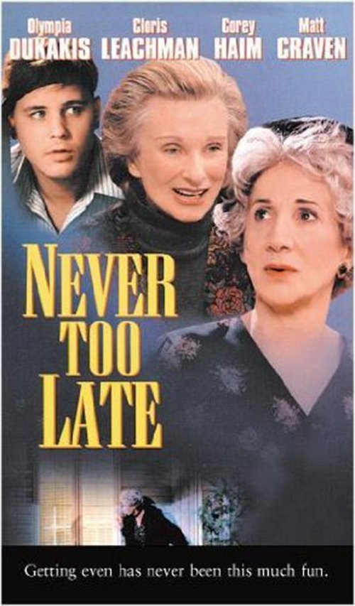 Póster de Never Too Late