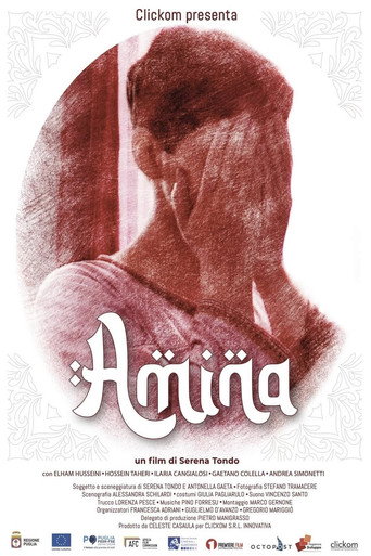 Póster de Amina
