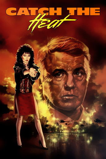 Póster de Catch the Heat