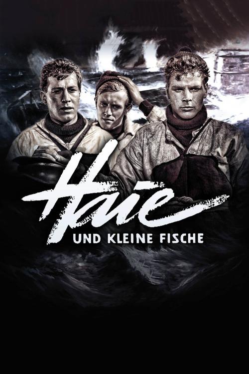 Póster de Haie und kleine Fische