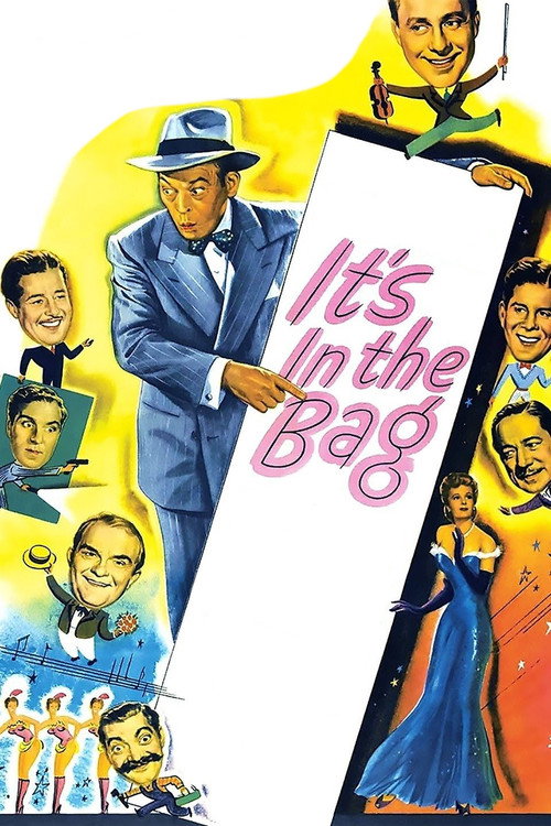 Póster de It's in the Bag!