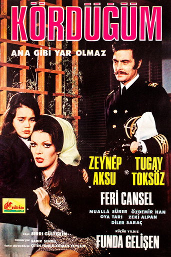 Póster de Kördüğüm