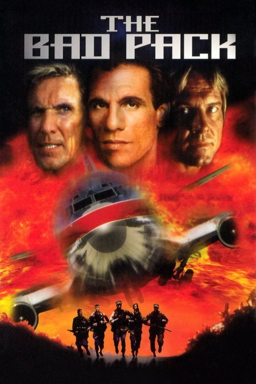 Póster de The Bad Pack