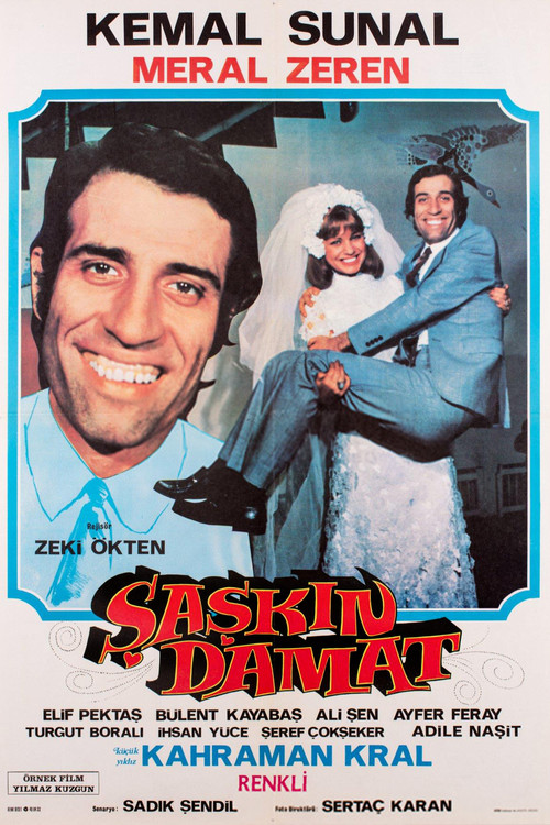 Póster de Şaşkın Damat