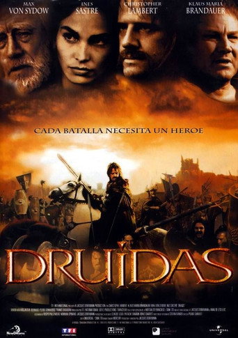 Póster de Vercingétorix : La Légende du druide roi