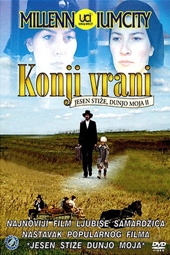 Póster de Konji vrani