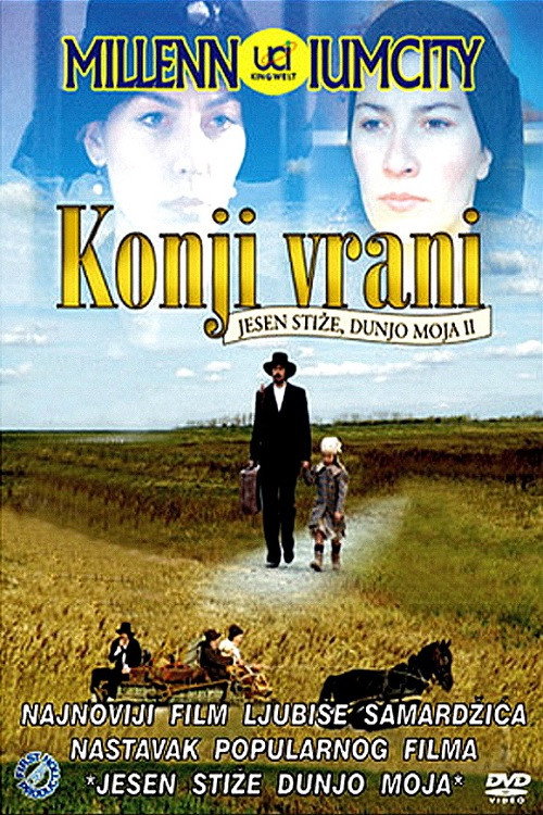 Póster de Konji vrani