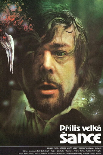 Póster de Příliš velká šance