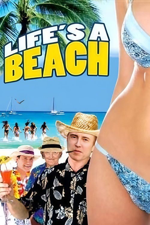 Póster de Life's a Beach