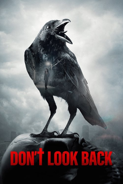 Póster de Don't Look Back