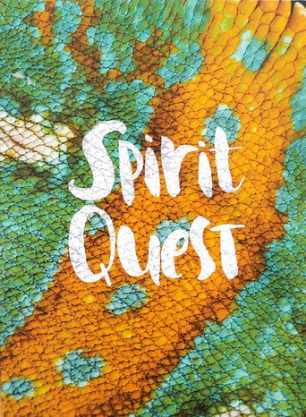 Póster de Spirit Quest