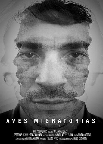 Póster de Aves migratorias