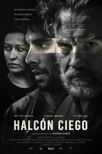 Póster de Halcón Ciego