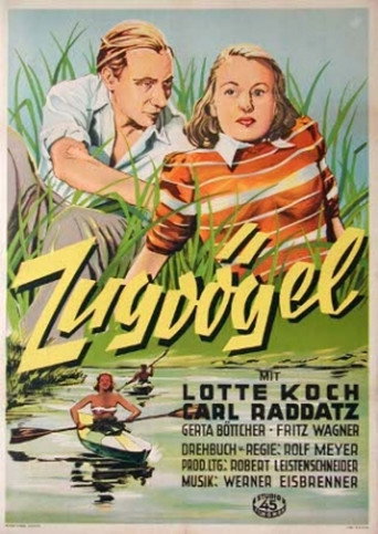 Póster de Zugvögel