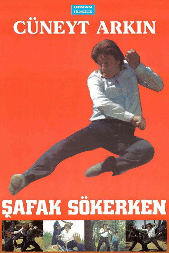 Póster de Şafak Sökerken