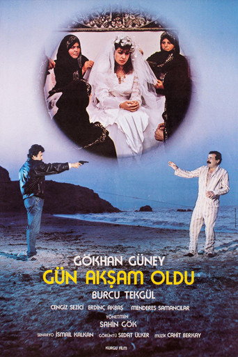 Póster de Gün Akşam Oldu