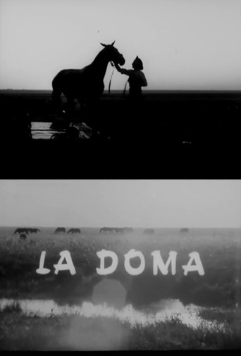 Póster de La doma