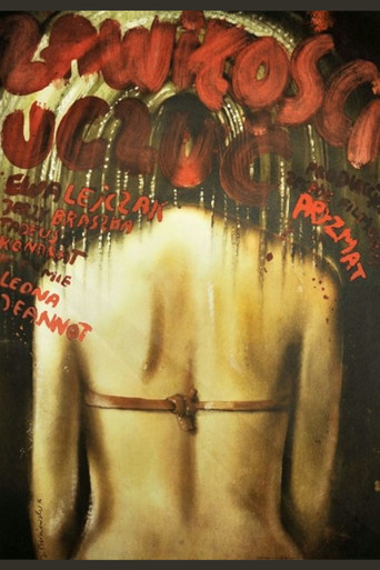 Póster de Zawiłości uczuć
