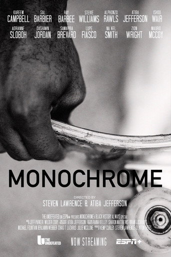 Póster de Monochrome