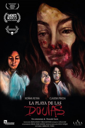 Póster de La playa de las doulas