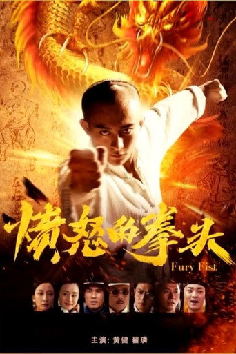 Póster de Fury Fist