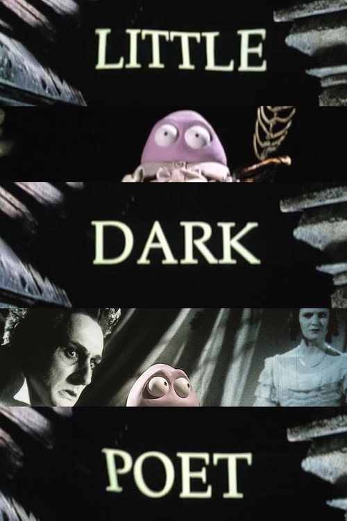 Póster de Little Dark Poet